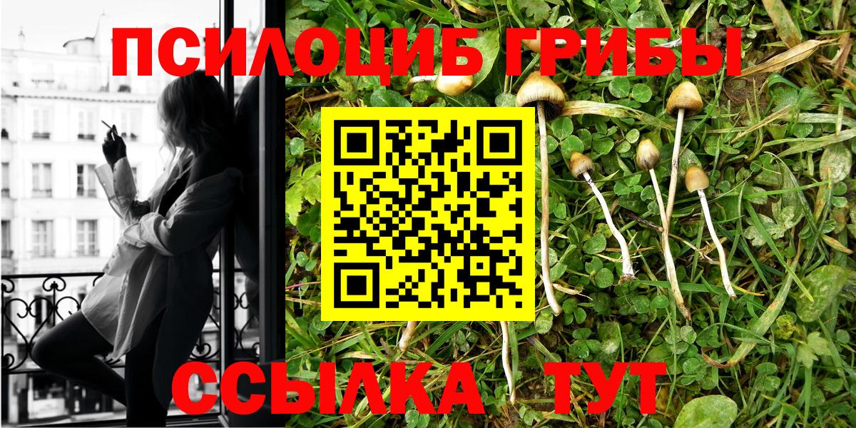 Псилоцибиновые грибы мицелий Ливны