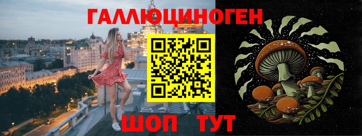 Ливны  Псилоцибиновые грибы Psilocybe  Вход с VPN 